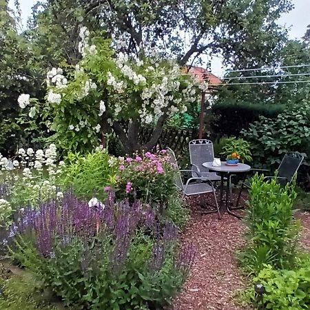 Spatzennest Вернигероде Экстерьер фото
