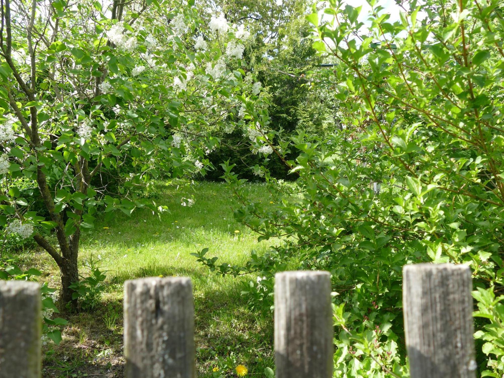 Spatzennest Вернигероде Экстерьер фото